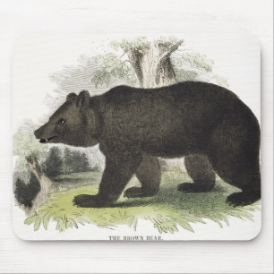 Mousepad O urso de Brown, bar educacional da ilustração.