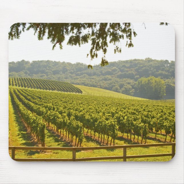 Mousepad O vinhedo e um vale com uma floresta - (Frente)