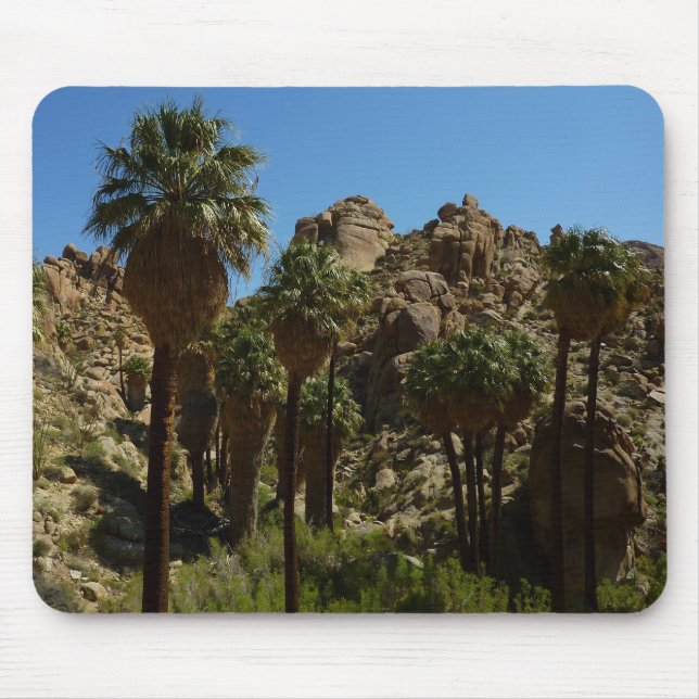 Mousepad Oásis Lost Palms I no Parque Nacional Joshua Tree (Frente)
