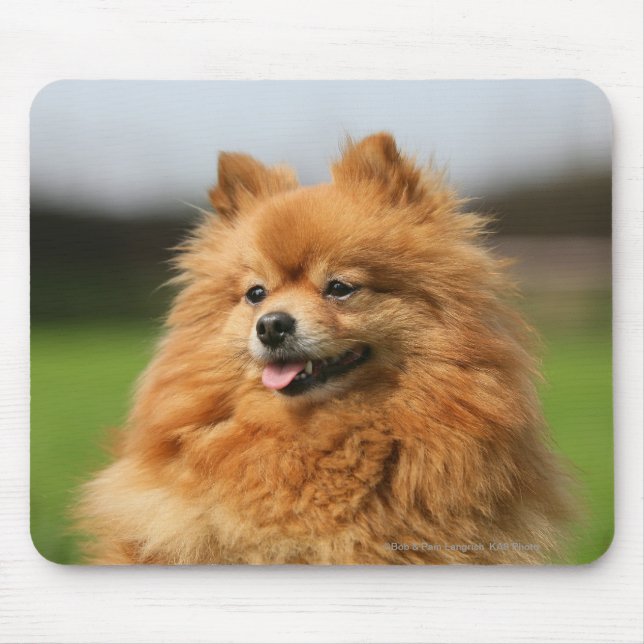 Mousepad Observação de Pomeranian (Frente)