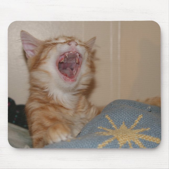 Mousepad Obtenha esse rato (Frente)