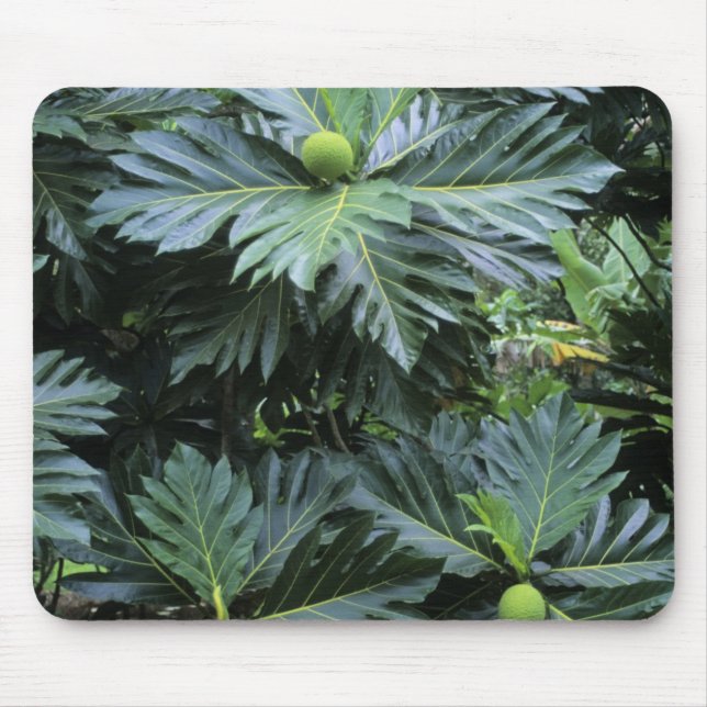 Mousepad Oceania, Pacífico Sul, Polinésia Francesa, (Frente)