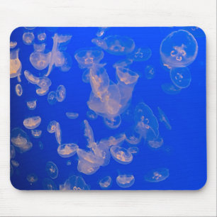 Mousepad Oceano Fotográfico de natação de água-viva