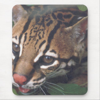 MOUSEPAD OCELOT