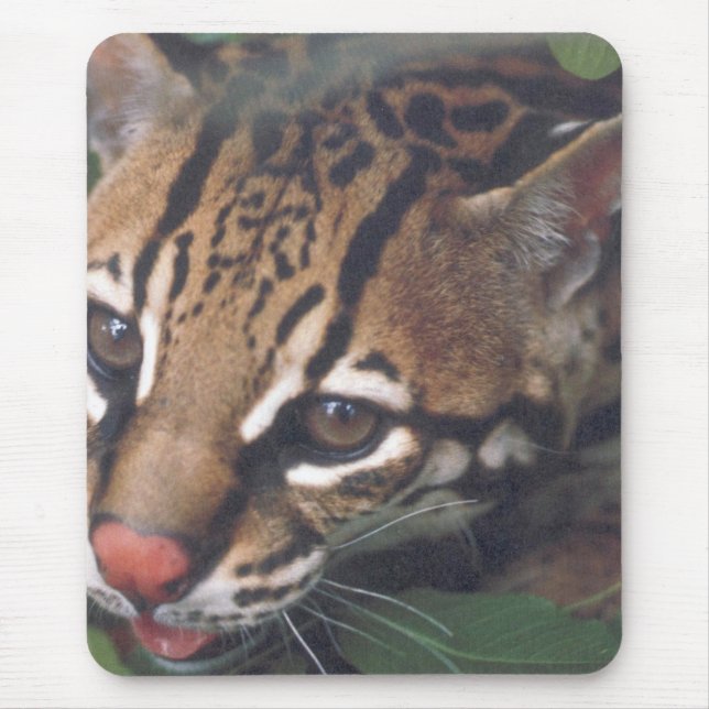 MOUSEPAD OCELOT (Frente)