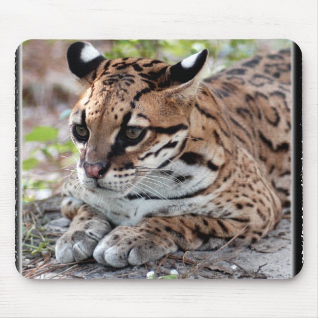 Mousepad Ocelot 02 11x11 (Frente)