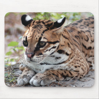 Mousepad Ocelot 02 9x9