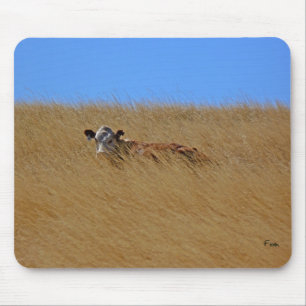 Mousepad ocultar e procurar