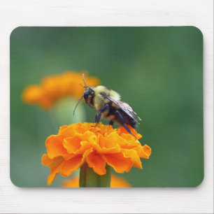 Mousepad Ocupado Bumble a abelha