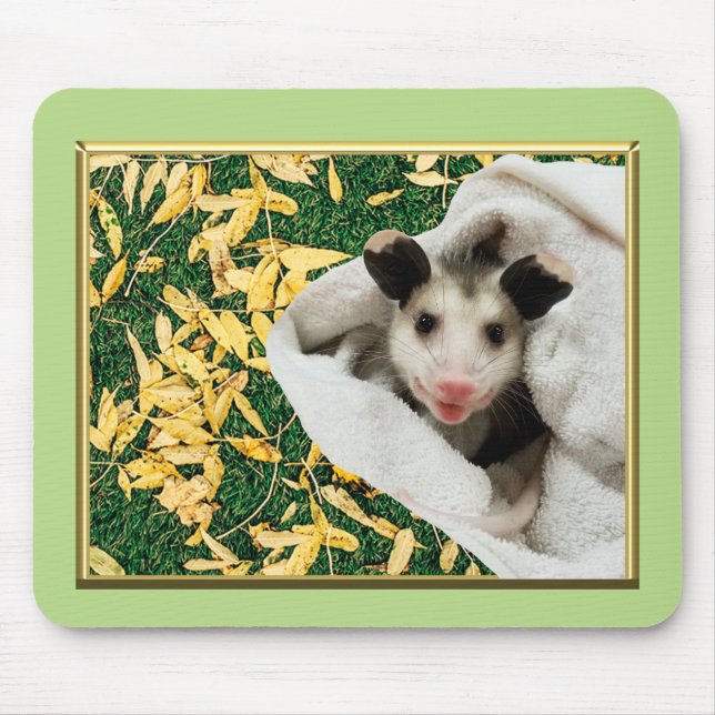 Mousepad Ogambm Baby Possum (Frente)