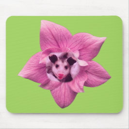 Mousepad Ogambm Baby Possum