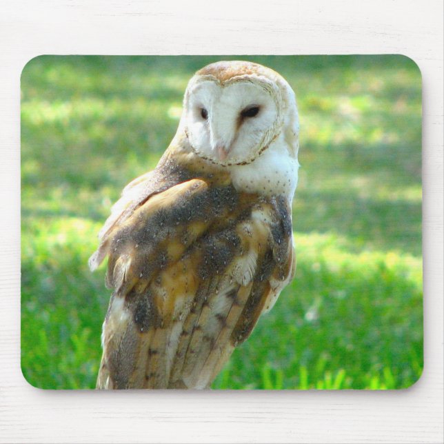 Mousepad Oh coruja de celeiro (Frente)