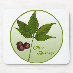 Mousepad Ohio Buckeye Tree