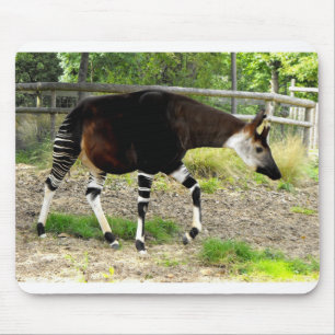 Mousepad Okapi