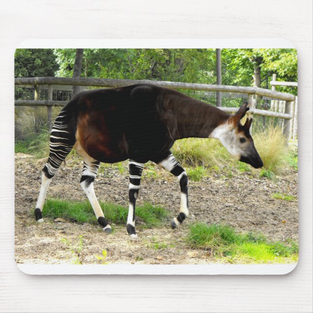 Mousepad Okapi (Frente)