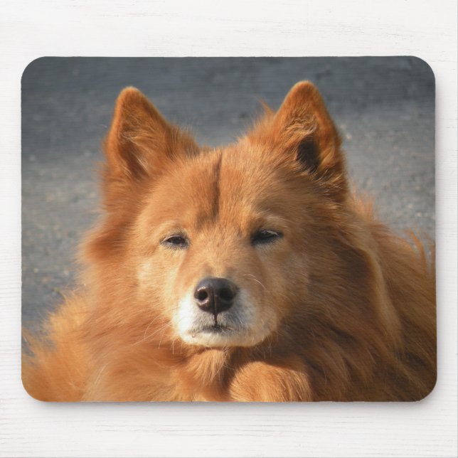 Mousepad Olá! (Frente)