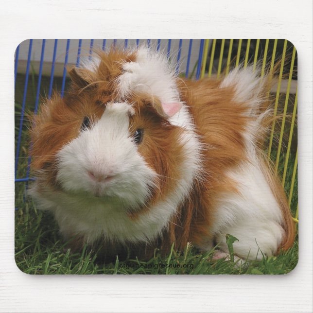 Mousepad Olá! lá! (o Mousepad) (Frente)