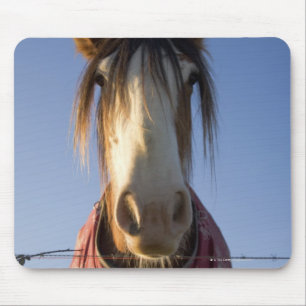Mousepad Olhando a câmera