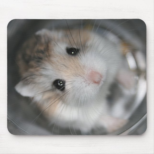 Mousepad Olhando acima - Tac Mousemat (Frente)