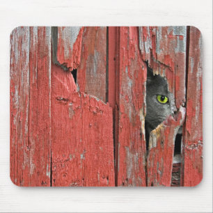 Mousepad Olhando o gato de Tom