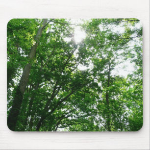 Mousepad Olhando para as árvores de verão