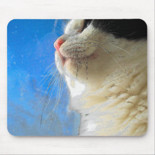 Mousepad Olhando para fora a janela