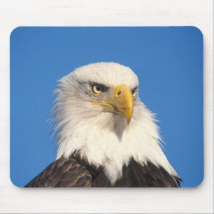 Mousepad Olhar de Águia Americana