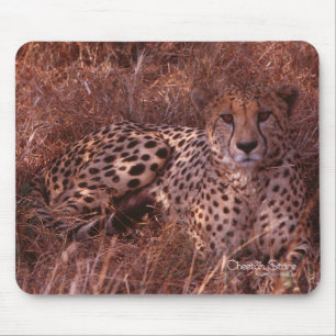Mousepad Olhar fixo da chita