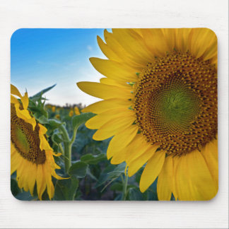 Mousepad Olhar Mais Perto