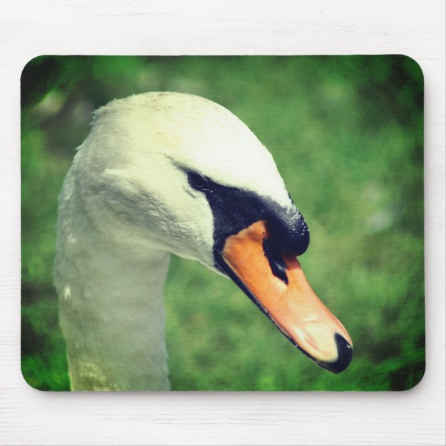 Mousepad Olhar Para A Natureza Do Cisne Dos Reis (Frente)