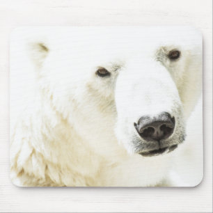 Mousepad Olho de gelo de um urso polar