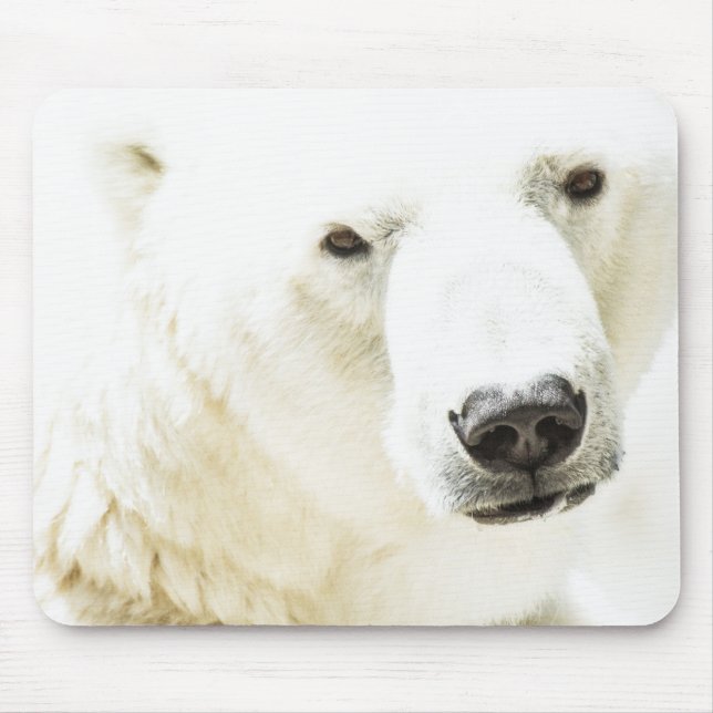 Mousepad Olho de gelo de um urso polar (Frente)