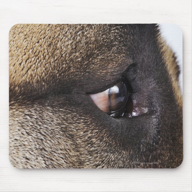 Mousepad Olho de Great Dane (Frente)