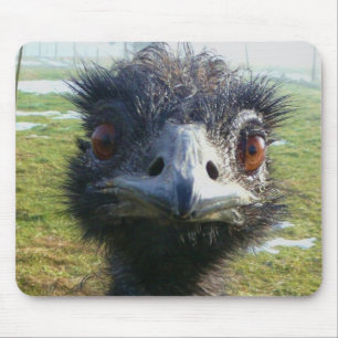 Mousepad Olhos Beady EMU