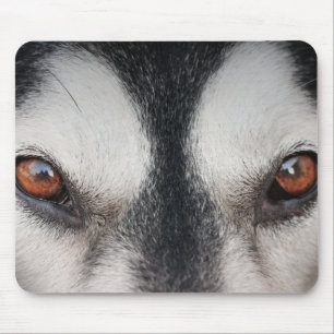 Mousepad Olhos de Brown do cão do Malamute