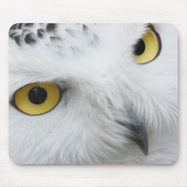 Mousepad Olhos de Coruja de Neve (Frente)