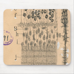 Mousepad Olhos De Desenho Celular Retina Santiago Ramon Y C