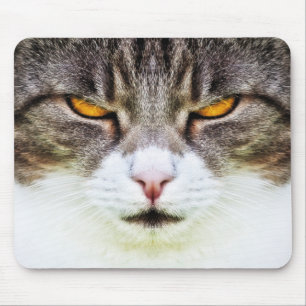 Mousepad olhos de gato