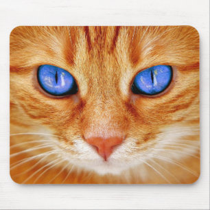 Mousepad Olhos de Gato Olhos de Gato Rosto Cavala Vermelha