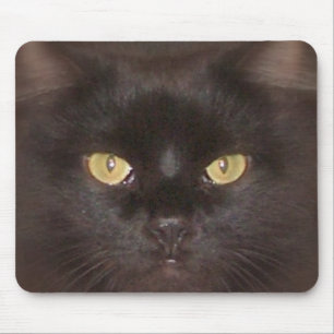 Mousepad olhos de gatos pretos