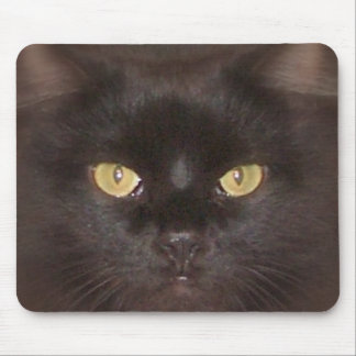 Mousepad olhos de gatos pretos