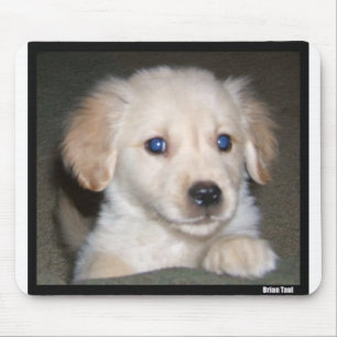 Mousepad Olhos de Pupy
