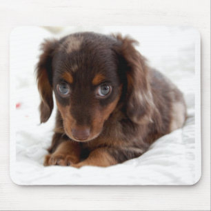 Mousepad Olhos do filhote de cachorro