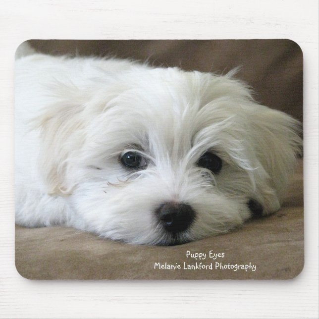 Mousepad Olhos do filhote de cachorro (Frente)