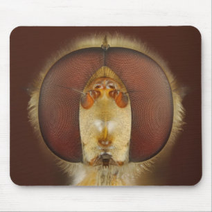 Mousepad Olhos principais e compostos de uma mosca do pairo