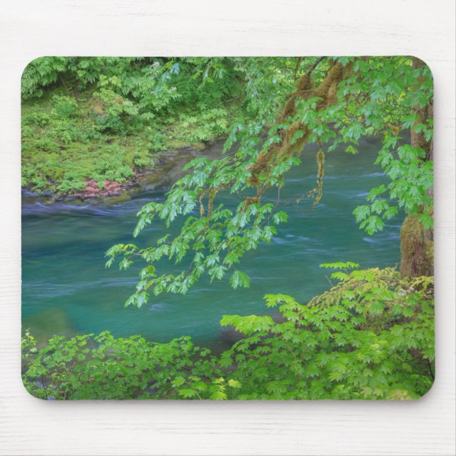 Mousepad Olimpiadas National Park Estado de Washington (Frente)
