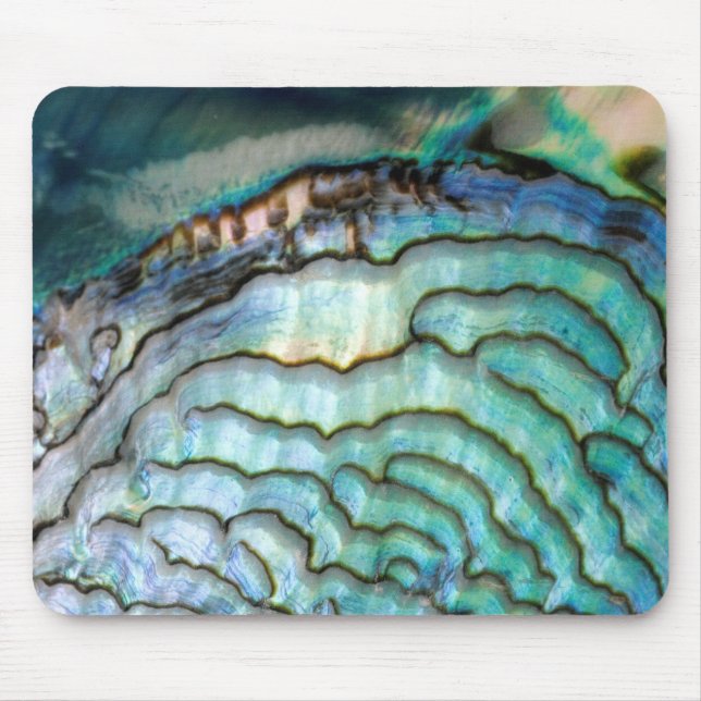 Mousepad Olmo Shell, tapete do rato (Frente)