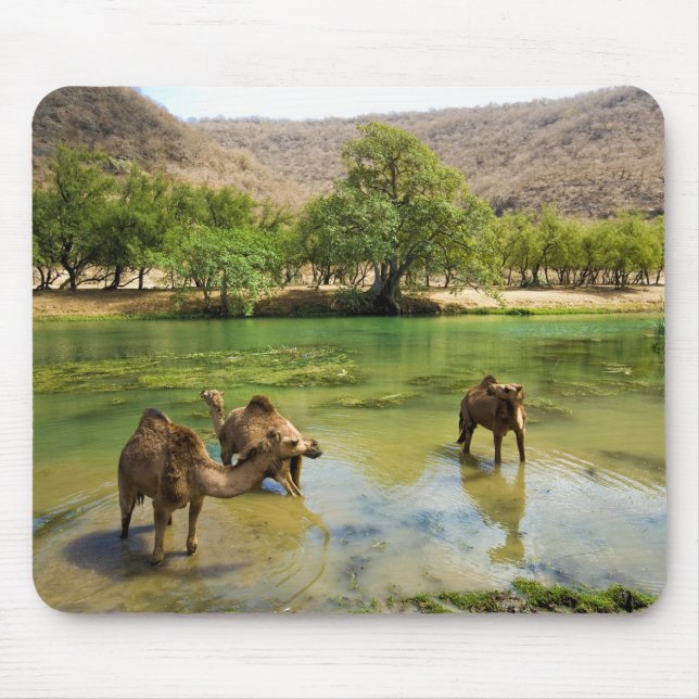 Mousepad Omã, Wadi darbat (Frente)