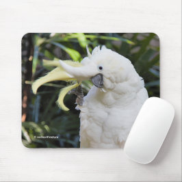 Mousepad Ondas de aves de capoeira de cocaína com enxofre