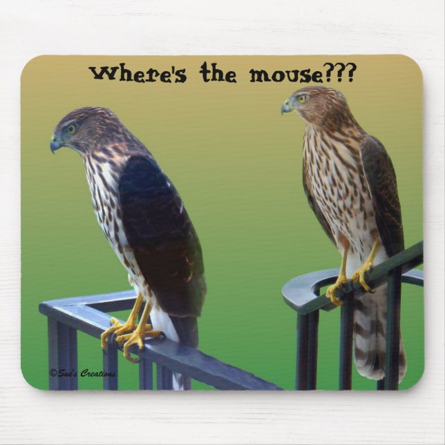Mousepad "Onde é o rato???" Falcões (Frente)
